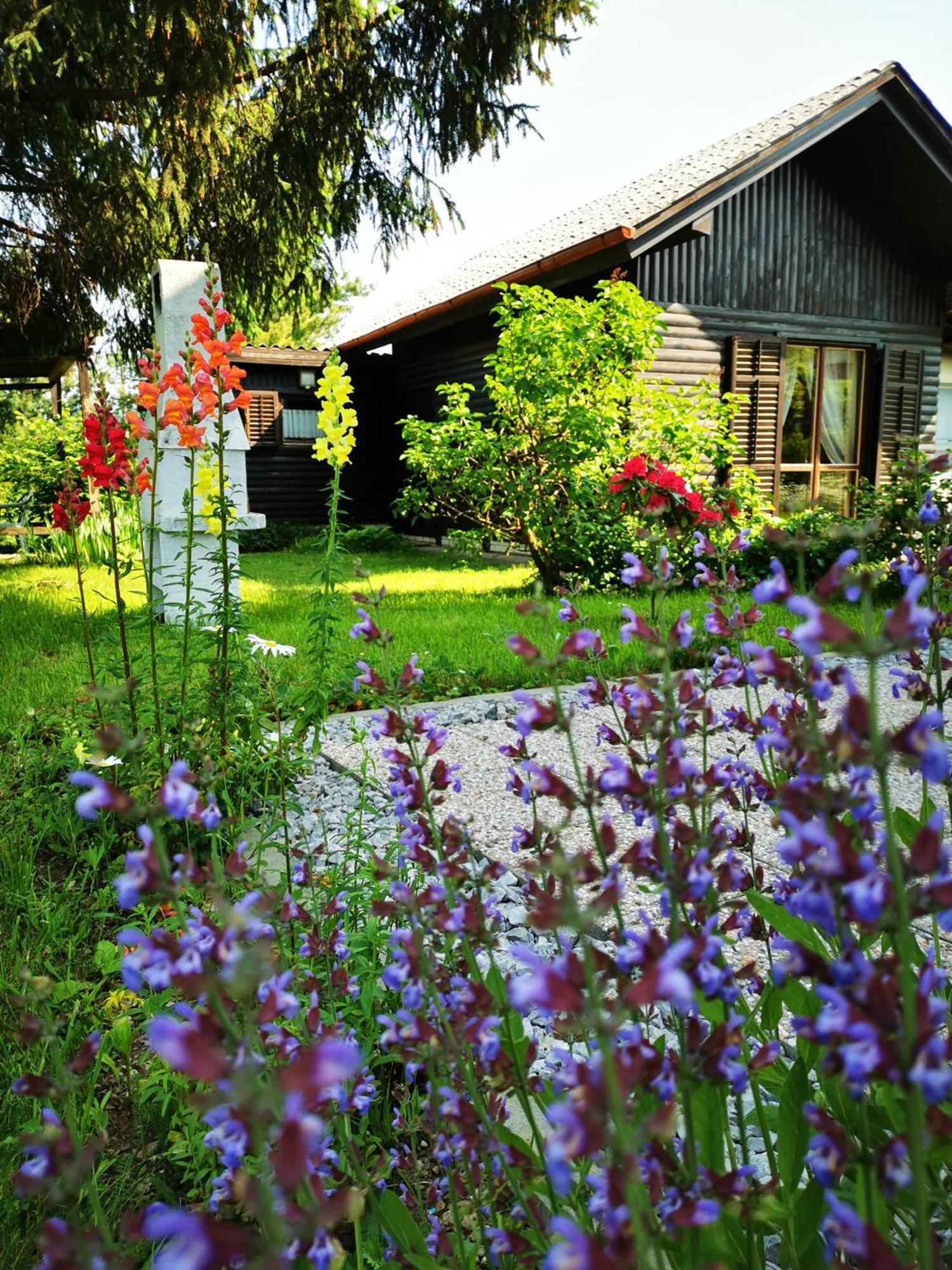 Merikotka - A Cozy Wooden Cottage, Slovenia Braslovce Exterior foto