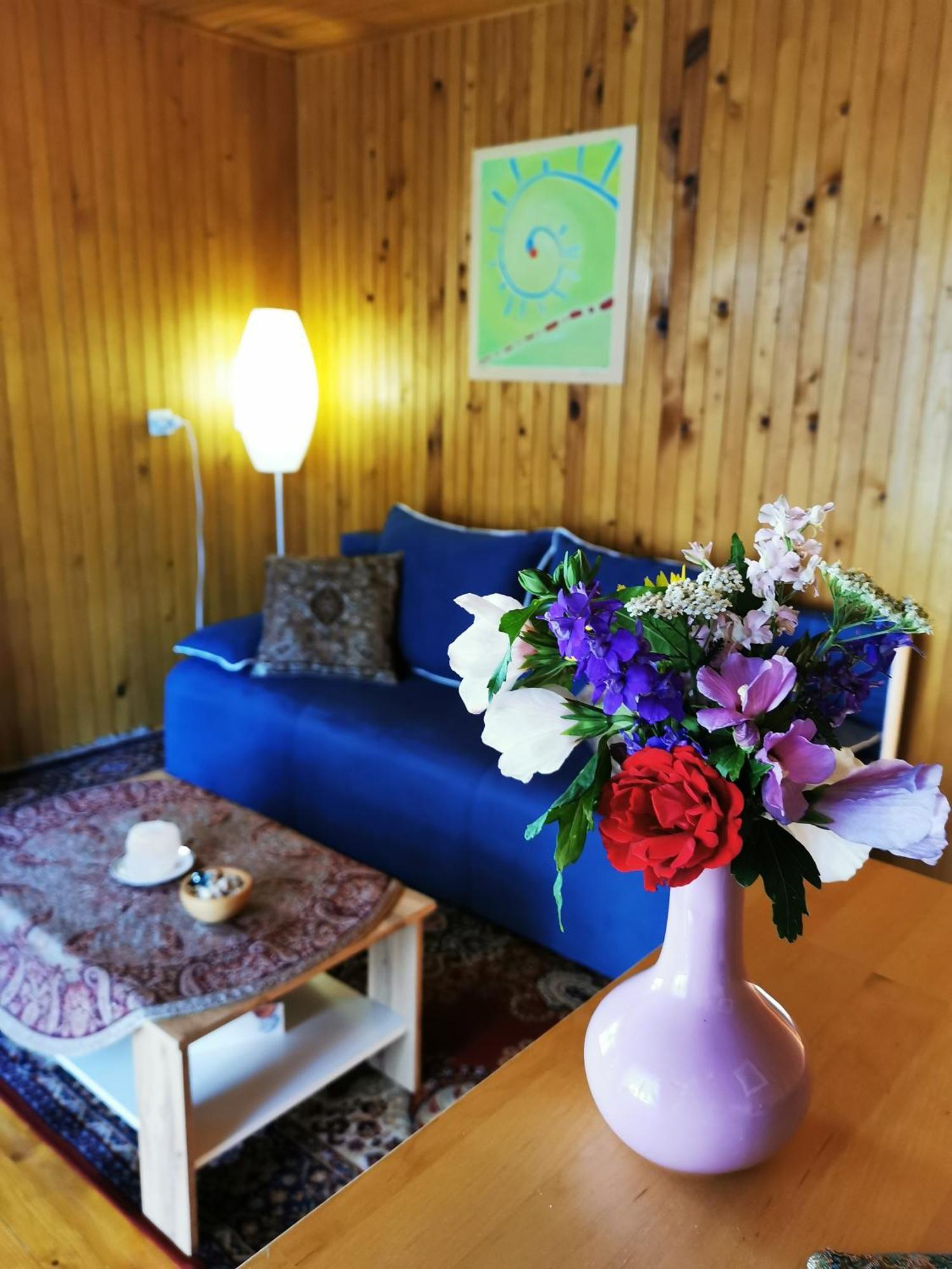 Merikotka - A Cozy Wooden Cottage, Slovenia Braslovce Exterior foto